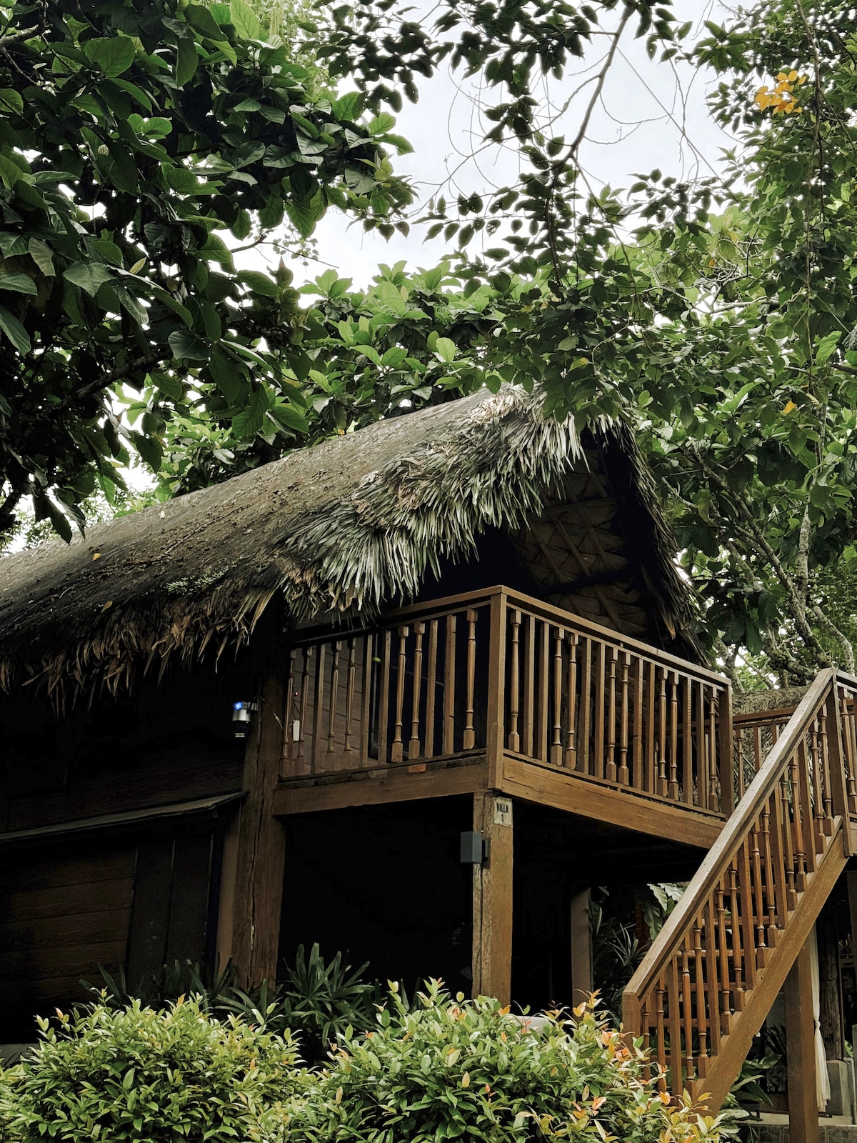 Thatched-roof cabin with wooden staircase surrounded by greenery